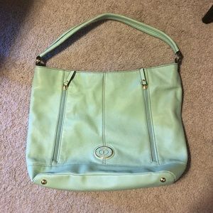 Mint Green Tiganello Purse